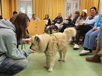 Therapiehund Marlo im Einsatz mit einer Menschengruppe