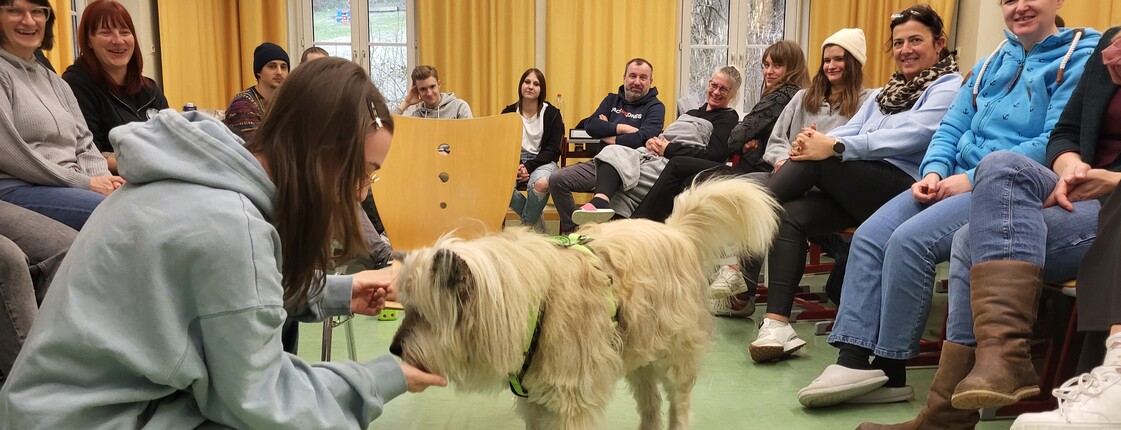 Therapiehund Marlo im Einsatz mit einer Menschengruppe